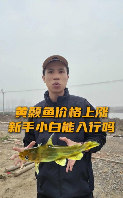 家里阳光不足怎么养花，选对植物种类，掌握养护技巧