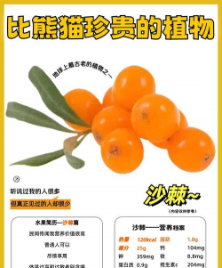 家里阳光不足怎么养花，选对植物种类，掌握养护技巧