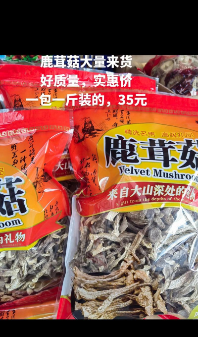 家里阳光不足怎么养花，选对植物种类，掌握养护技巧