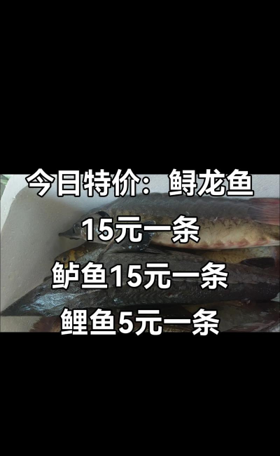 家里阳光不足怎么养花，选对植物种类，掌握养护技巧