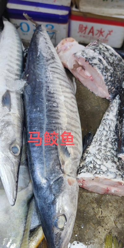 家里阳光不足怎么养花，选对植物种类，掌握养护技巧