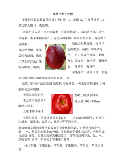 家里阳光不足怎么养花，选对植物种类，掌握养护技巧