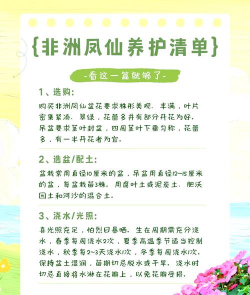 家里阳光不足怎么养花，选对植物种类，掌握养护技巧