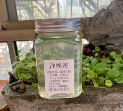 养花不好的人煞气多，养花常见问题，如何化解煞气