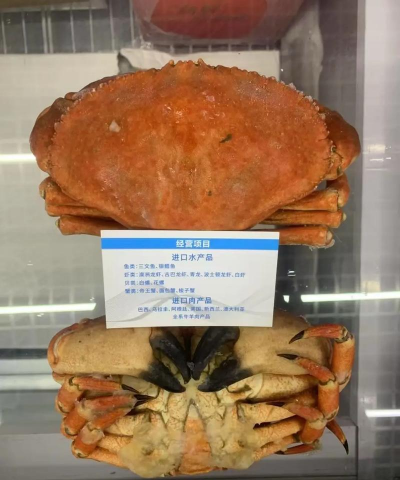 养花不好的人煞气多，养花常见问题，如何化解煞气