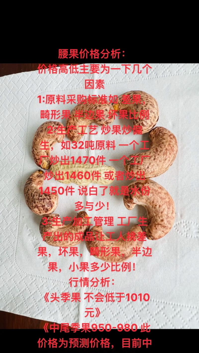 养花不好的人煞气多，养花常见问题，如何化解煞气