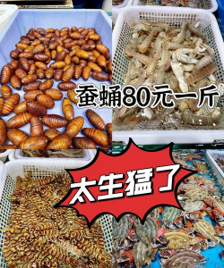 养花不好的人煞气多，养花常见问题，如何化解煞气