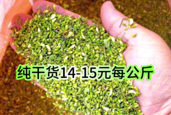 养花不好的人煞气多，养花常见问题，如何化解煞气