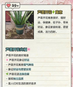 养花不好的人煞气多，养花常见问题，如何化解煞气