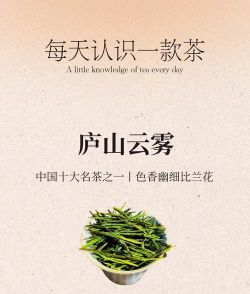 懒人养花神器，轻松打理花草，告别繁琐养护