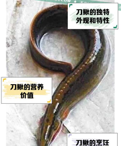 懒人养花神器，轻松打理花草，告别繁琐养护