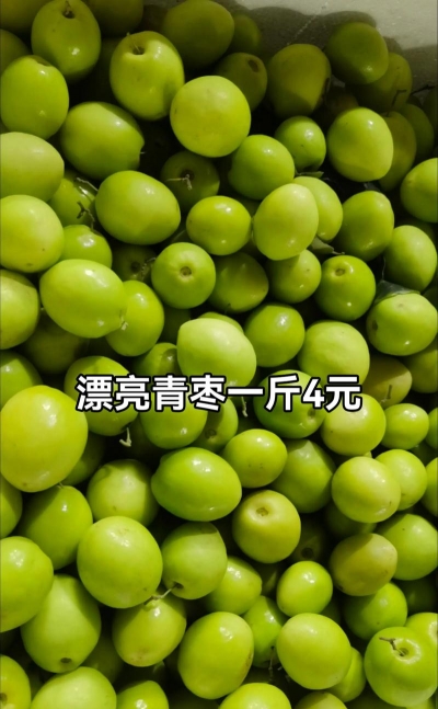 2024年青枣多少钱一斤 2024年青枣多少钱一斤