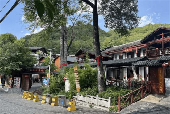 室内花卉装饰，提升居家氛围，打造自然空间