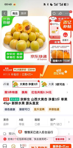 懒人养花神器，轻松打理花草，告别繁琐养护