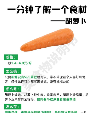 懒人养花神器，轻松打理花草，告别繁琐养护