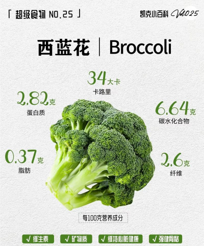 懒人养花神器，轻松打理花草，告别繁琐养护