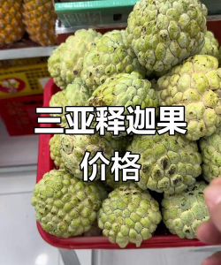 阿斯匹林能养花吗，了解实际效果，掌握正确用法