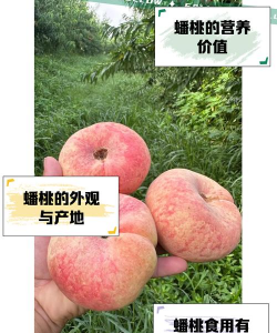 室内花卉装饰，提升居家氛围，打造自然空间