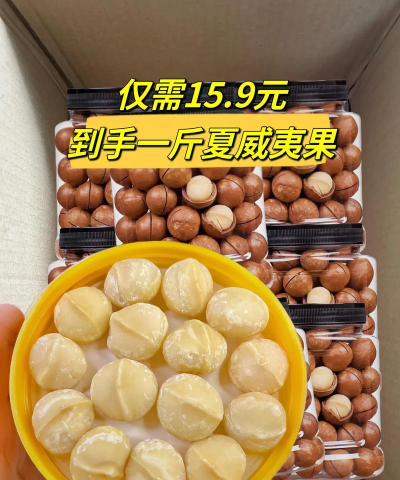 懒人养花神器，轻松打理花草，告别繁琐养护