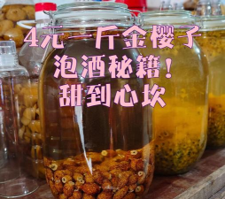 懒人养花神器，轻松打理花草，告别繁琐养护