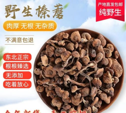 懒人养花神器，轻松打理花草，告别繁琐养护