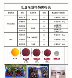 懒人养花神器，轻松打理花草，告别繁琐养护