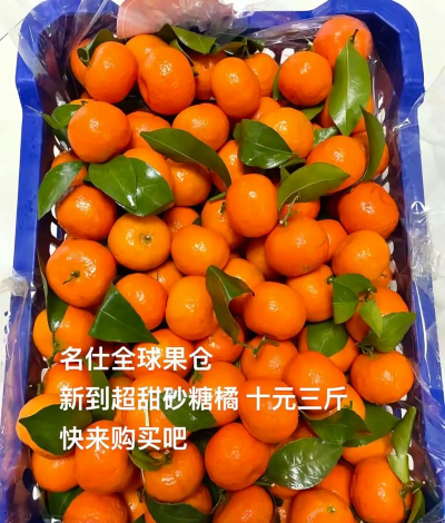 养花人社区，交流种植经验，分享养花乐趣