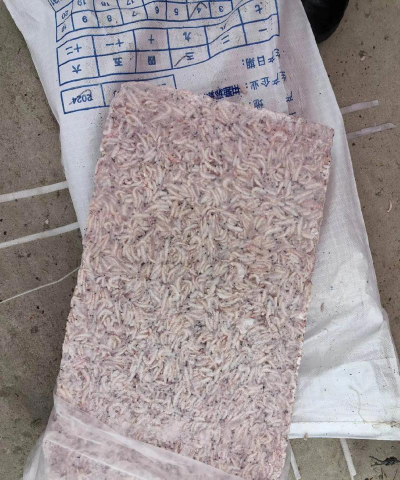 养花人社区，交流种植经验，分享养花乐趣