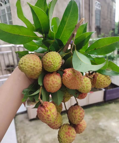 养花人社区，交流种植经验，分享养花乐趣