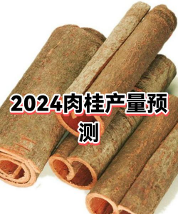 养花人社区，交流种植经验，分享养花乐趣