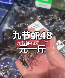 养花人社区，交流种植经验，分享养花乐趣