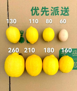 养花人社区，交流种植经验，分享养花乐趣