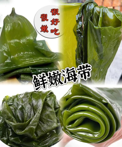 养花人社区，交流种植经验，分享养花乐趣