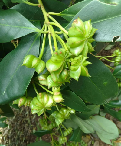 养花人社区，交流种植经验，分享养花乐趣