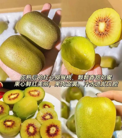 养花人社区，交流种植经验，分享养花乐趣