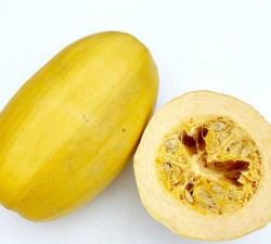 养花人社区，交流种植经验，分享养花乐趣