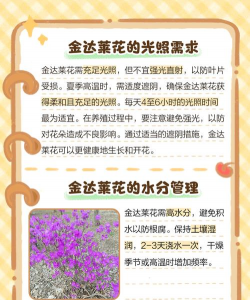 养花人社区，交流种植经验，分享养花乐趣