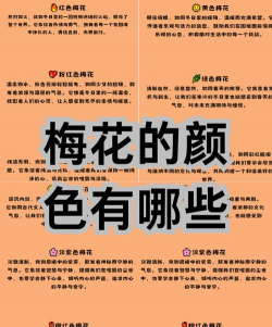 陶粒怎样养花，提升透气性，避免积水烂根