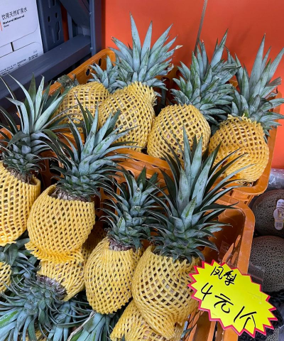 陶粒怎样养花，提升透气性，避免积水烂根