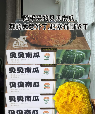 2024年贝贝南瓜多少钱一斤 2024年贝贝南瓜多少钱一斤