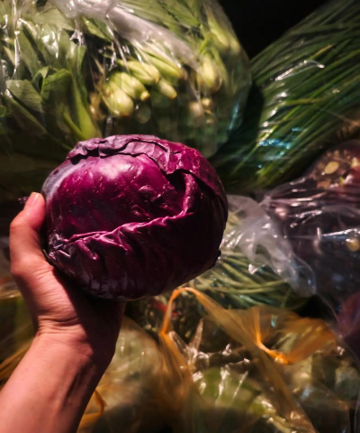 种植花卉的方法，新手入门指南，轻松打造花园