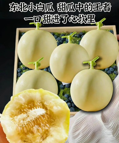 种植花卉的方法，新手入门指南，轻松打造花园