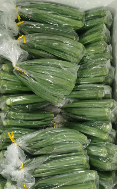 种植花卉的方法，新手入门指南，轻松打造花园