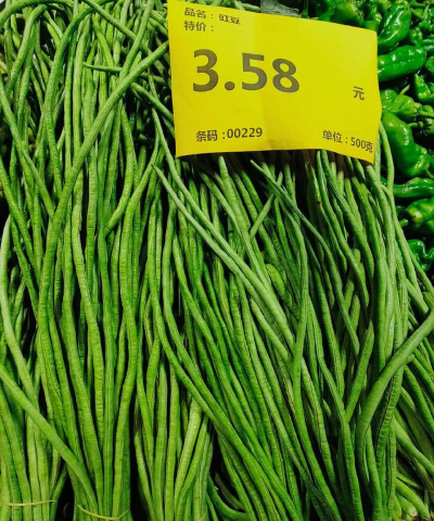 陶粒怎样养花，提升透气性，避免积水烂根