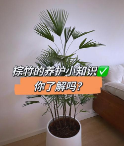 烧土养花，改善土壤，提升植物生长