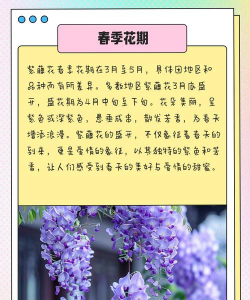 烧土养花，改善土壤，提升植物生长