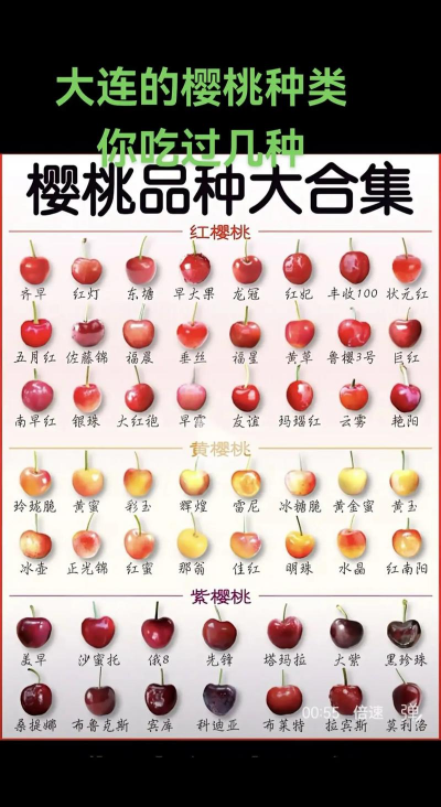 烧土养花，改善土壤，提升植物生长