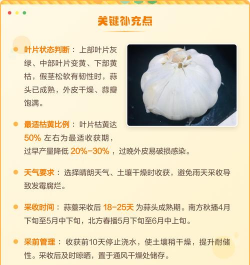 烧土养花，改善土壤，提升植物生长