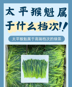 烧土养花，改善土壤，提升植物生长