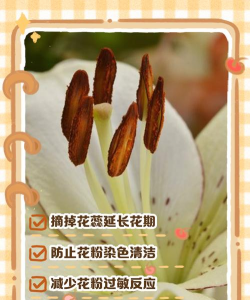 红虫室内养殖技术，掌握关键要点，实现稳定产出